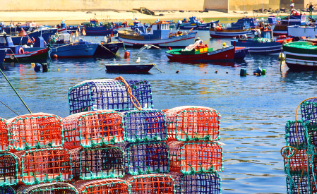 Fisherman Port in Portugal