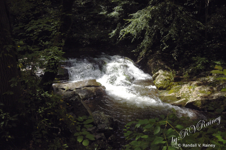 White Water in the Smoky Mountains...