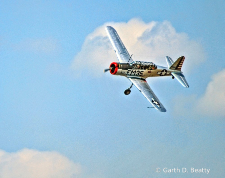 Michigan Air Show