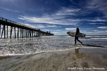 Surf's Up 