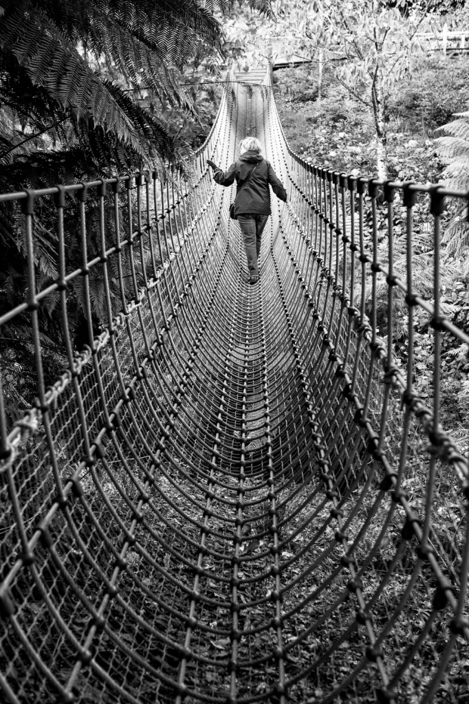 Rope Bridge