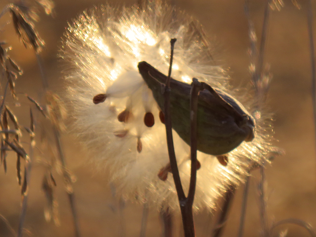 Backlit