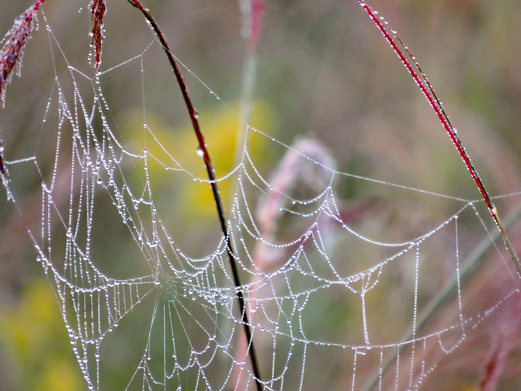 Hanging On