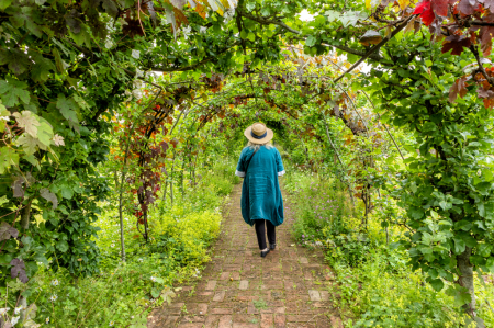 Garden Arch