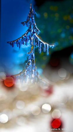 Ice Tree 