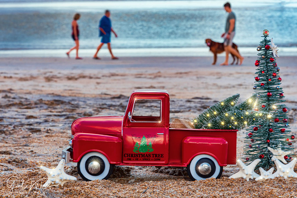 Beach Walk during the holidays!