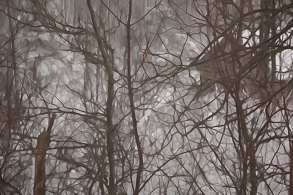 Barn in winter woods