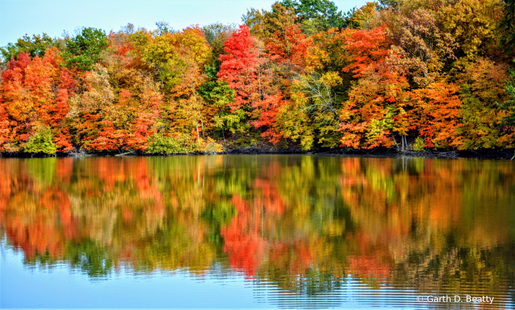Fall Reflections 