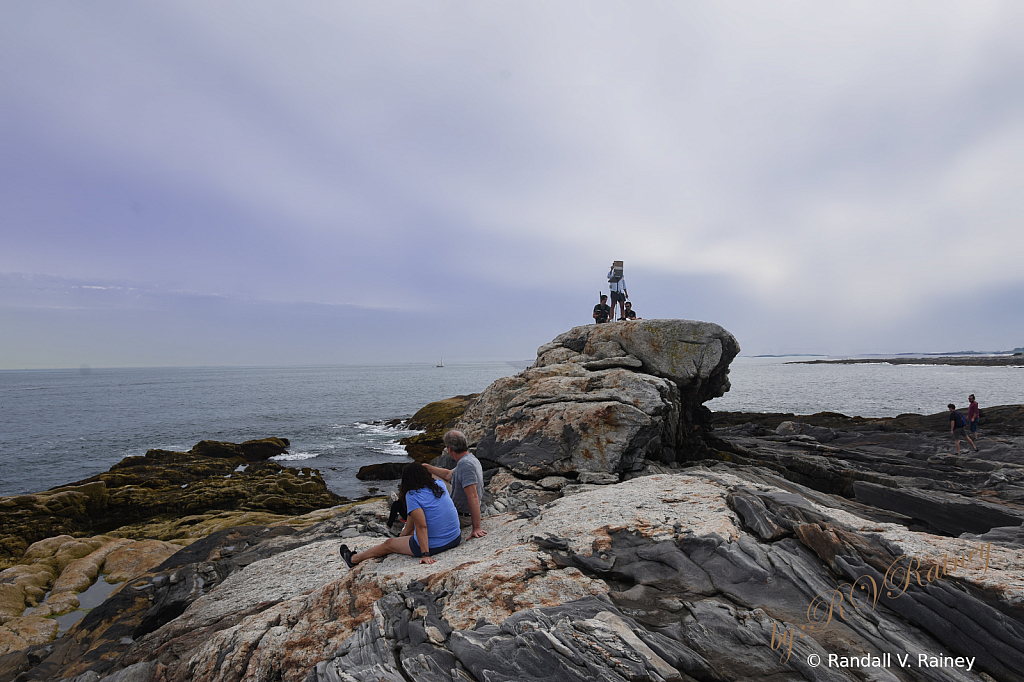 Life on the Rocks at Perrmaquid Pt