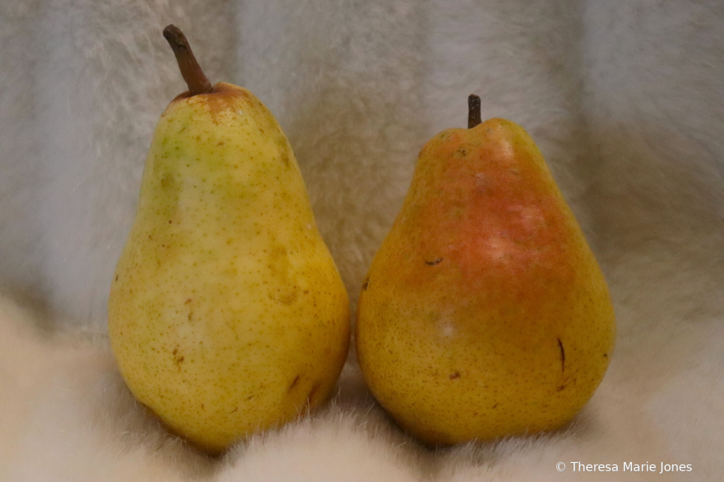 Pair of Pears - ID: 16035470 © Theresa Marie Jones