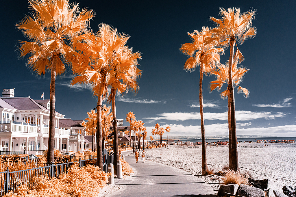 Beach in San Diego