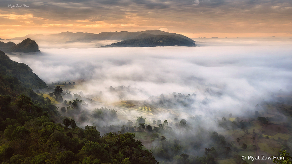 Misty Morning