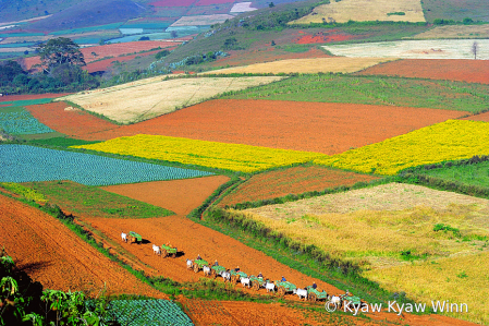 Colorful Journey 