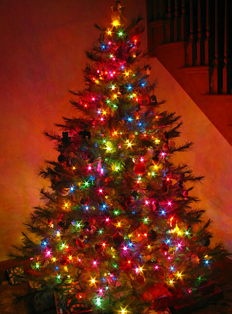 Christmas Tree