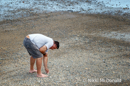 Looking for Sea Glass