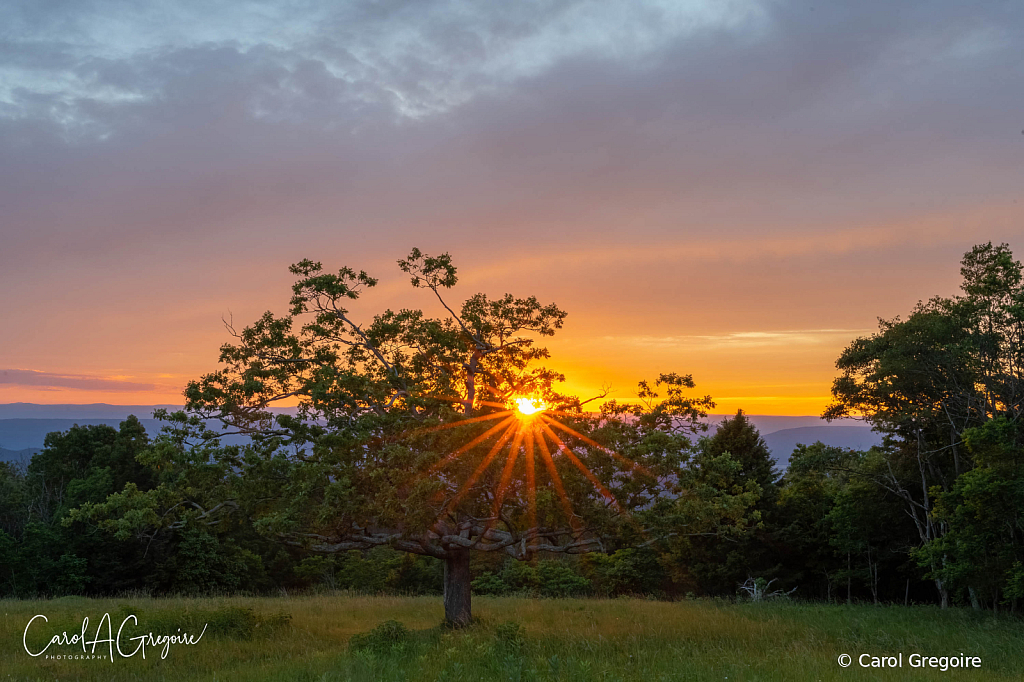 Shenandoah Sunset