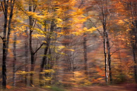 Autumn from A Car Window