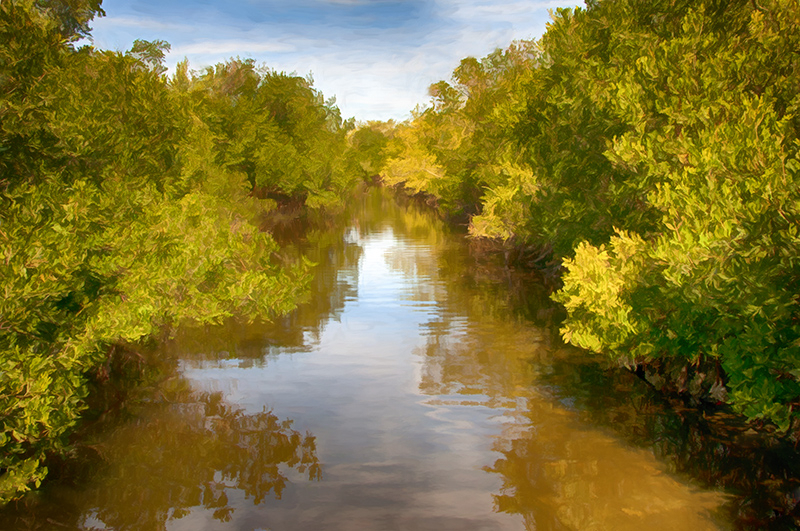 Down the Canal