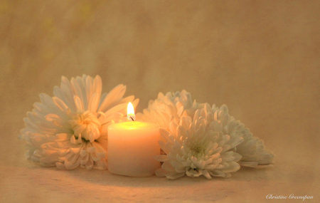 Candle and Flowers