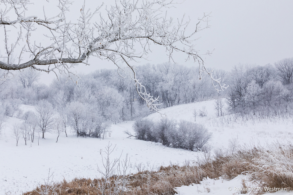 Snowy country drive in North Dakota - ID: 16036381 © Roxanne M. Westman