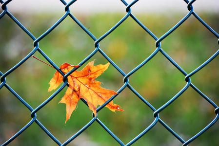 In fence