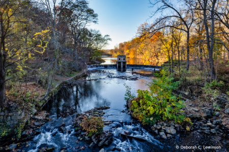 Speedwell Lake