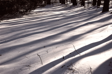 Shadows on The Snow