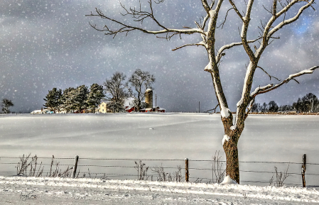 Snowy Winter on the Farm