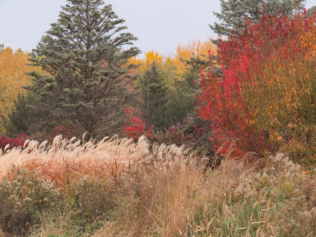 Autumn Palette