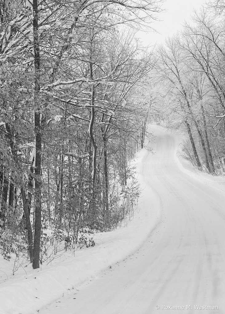 A beautiful winter drive Maplewood state park - ID: 16039731 © Roxanne M. Westman