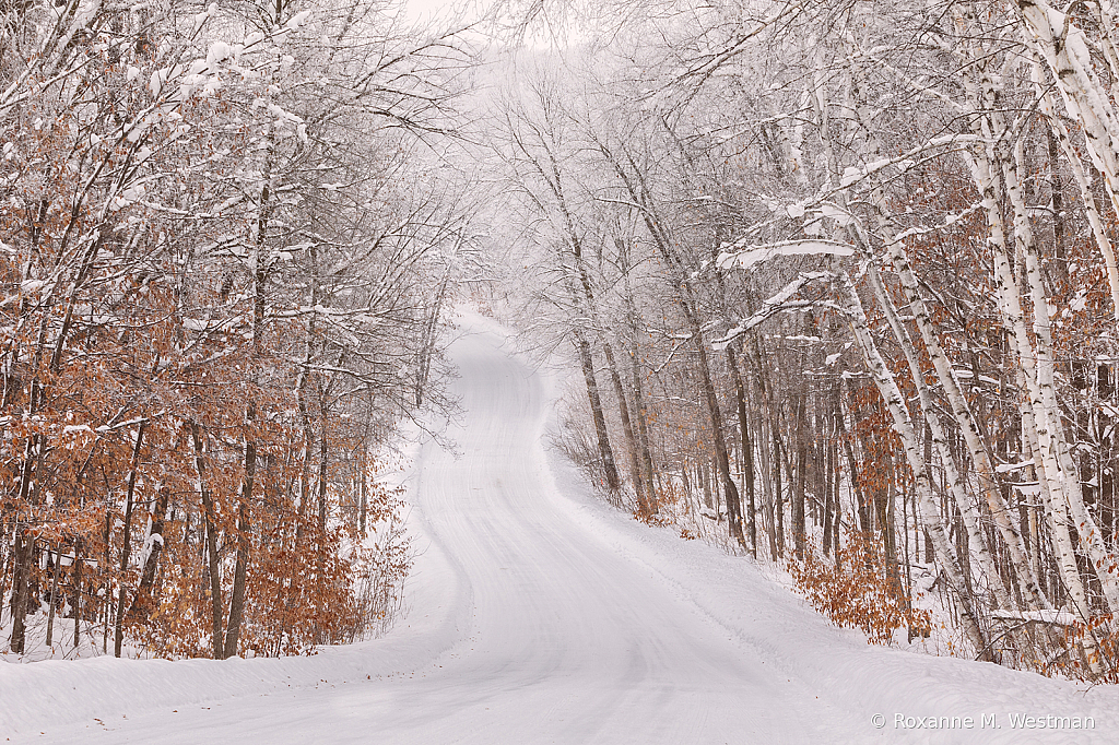 Frosted winter's drive - ID: 16039732 © Roxanne M. Westman