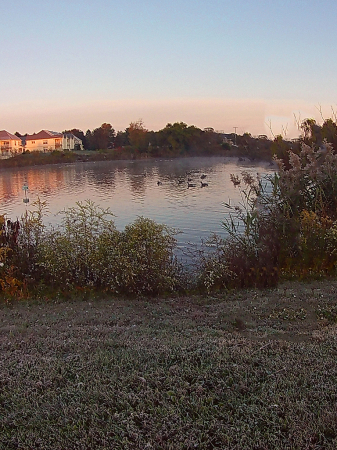 Geese on the Pond at Sunrise