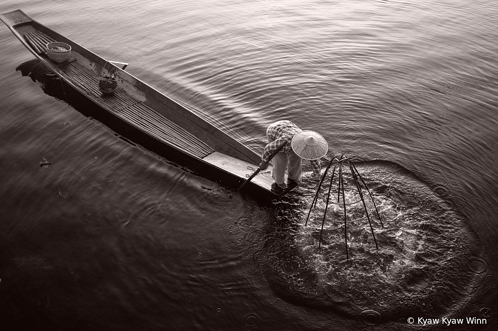 Fishing in the Lake