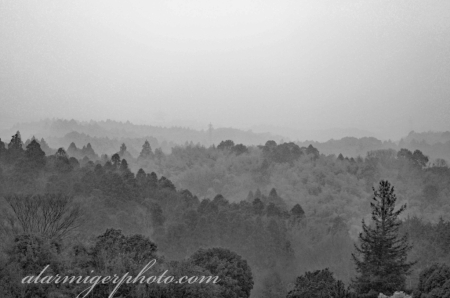 Haze on the Hills DSC_0064_AlamyreadyBW