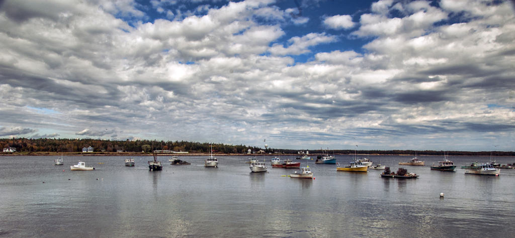 Coastal Maine