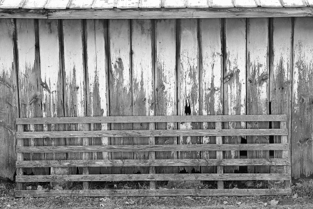 Old Barn, Fence