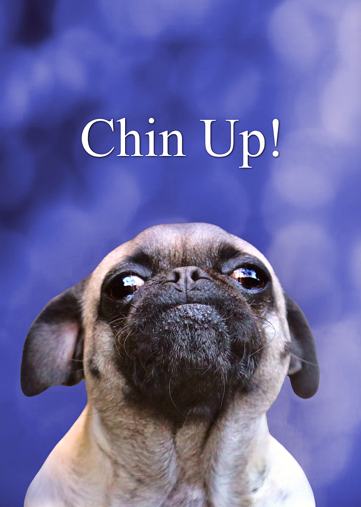 Keep your chin up :) 