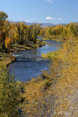 Fall fishing-Colorado