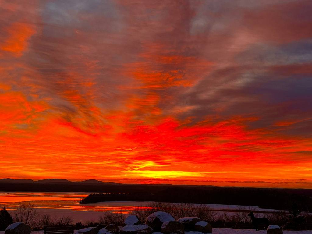 Red Sky Delight