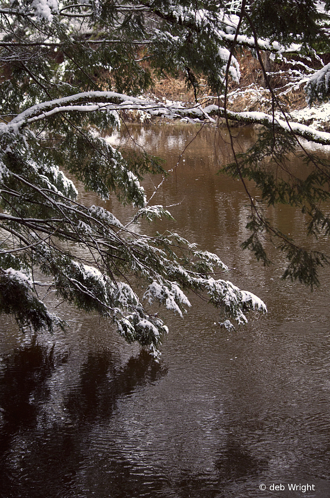 Snowy River - ID: 16040587 © deb Wright