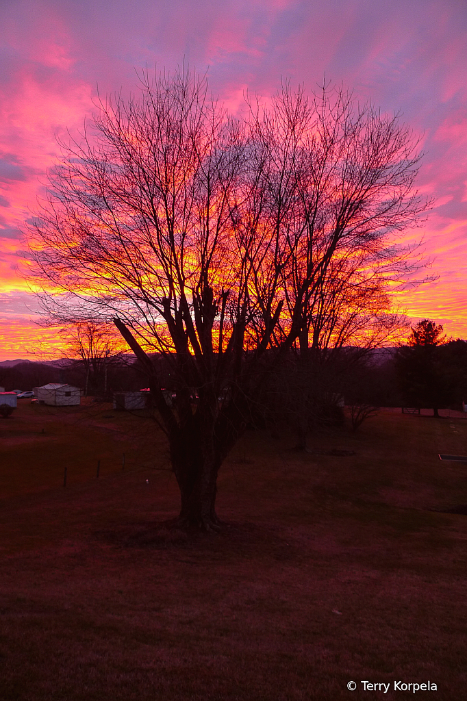 Backyard Sunrise - ID: 16040645 © Terry Korpela