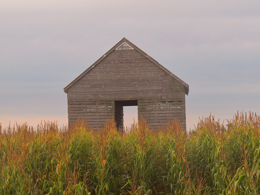 Crib In The Corn