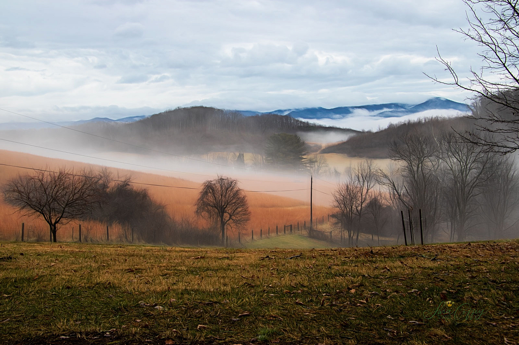 Through the Fog