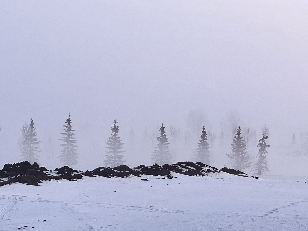 Fog in Winter