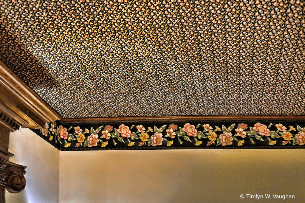 Cape May Ceiling Paper 1 - ID: 16041095 © Timlyn W. Vaughan