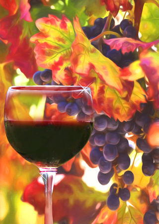 Wine and Grapes Fall Colors