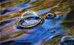Floating Air