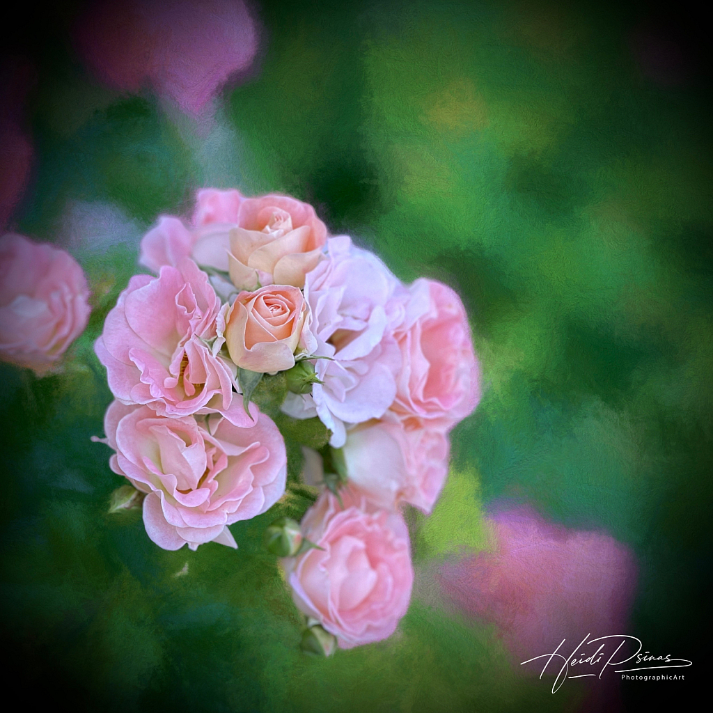 Pink Bouquet