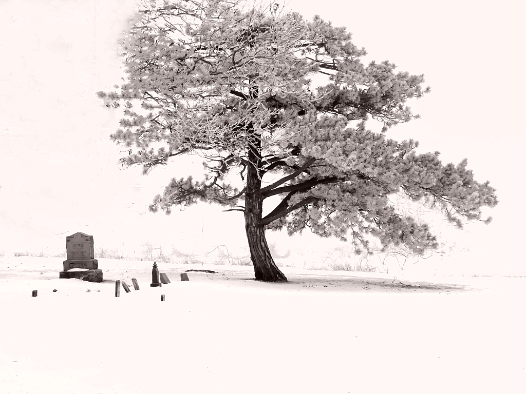 Grave Winter