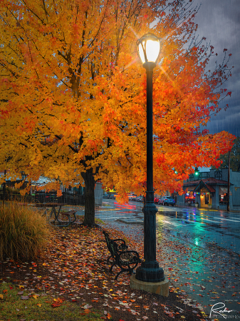 Street Scene: Rainy Autumn Evening